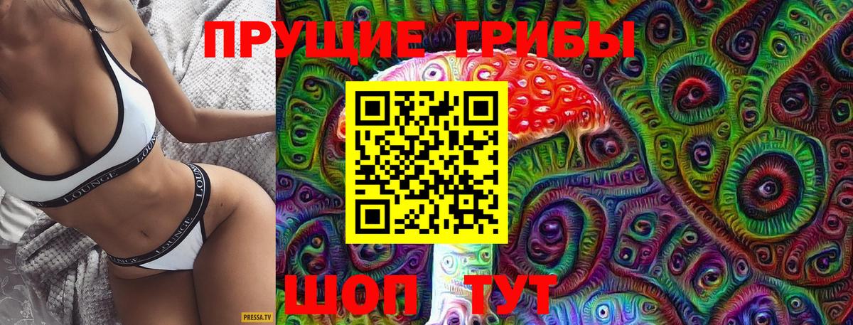 Псилоцибиновые грибы Psilocybine cubensis  Вход с VPN  Псилоцибиновые грибы Psilocybe  Жуковский 